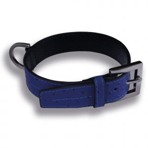 Hundehalsband Straußenleder Optik Hellblau electric Leder