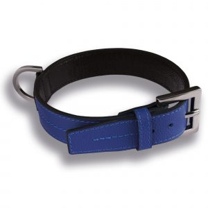 Hundehalsband Hellblau Leder electric blau