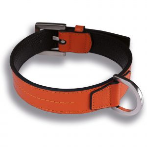 Hundelhalsband Orange feinsten Leder