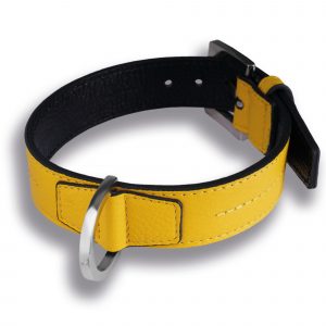 Hundehalsband Gelbe echt Leder