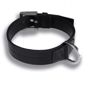 Hundehalsband Leder Schwarz
