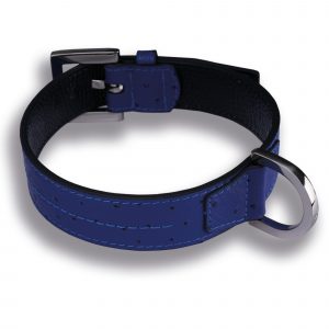 Hundehalsband Hellblau Leder Straußenleder Optik electric