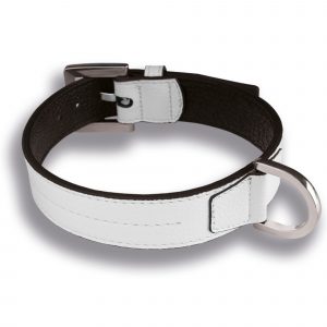 Hundehalsband Leder Weiß