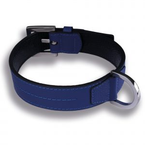 Hundehalsband aus Leder electric blau