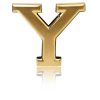 Belt Buckle Y Gold / Rose Gold / Black / Silver Chrome 32mm