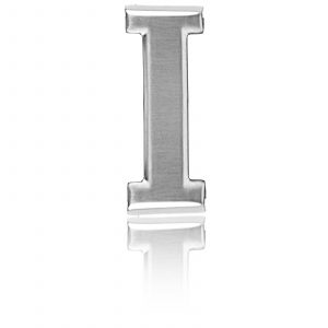 Belt Buckle I Gold / Rose Gold / Black / Silver Chrome 40mm