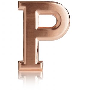 Belt Buckle P Gold / Rose Gold / Black / Silver Chrome 40mm