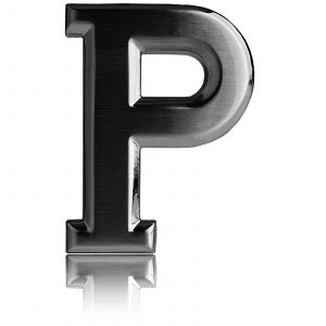 Belt Buckle P Gold / Rose Gold / Black / Silver Chrome 40mm