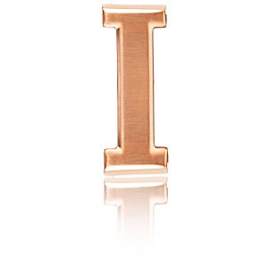 Belt Buckle I Gold / Rose Gold / Black / Silver Chrome 32mm
