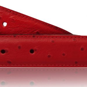 Ostrich Belt Red Women & Men 32 mm / 40 mm Leather Belt without Buckle for H Belt Buckle as Reversible Belt