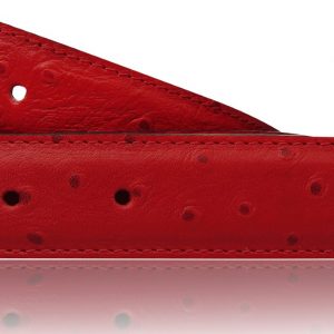 Straußen Gürtel Rot Damen & Herren 32mm / 40mm LEdergürtel ohne Schnalle für H Gürtelschnalle als Wendegürtel