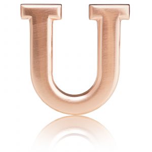 Belt Buckle U Gold / Rose Gold / Black / Silver Chrome 32mm